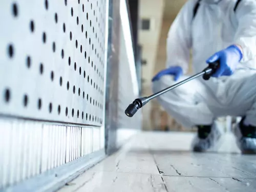 At Aridom Sanex, we specialise in identifying and resolving hidden mould problems across Canterbury.