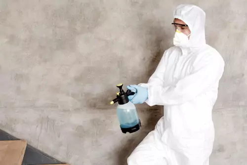 Mould Remediation Services