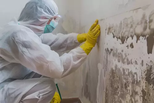 Specialist Subcontractor Support