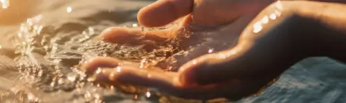 PaquaVida – the Sustainable Water Purification System PaquaVida – the Sustainable Water Purification System